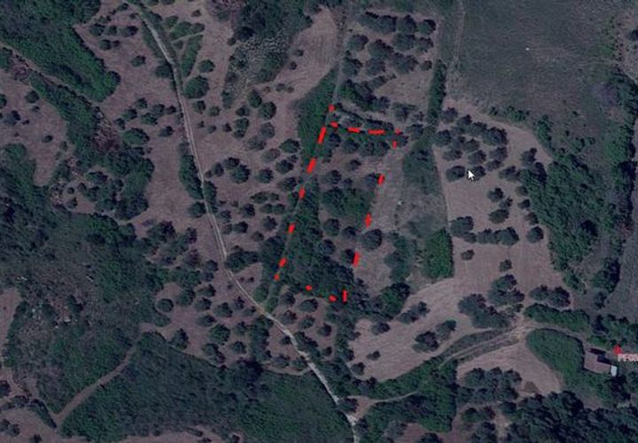Helårsgrund i Montevago, Agrigento, Montevago - € 5.000 | Ref: Land Caliato - foto 1